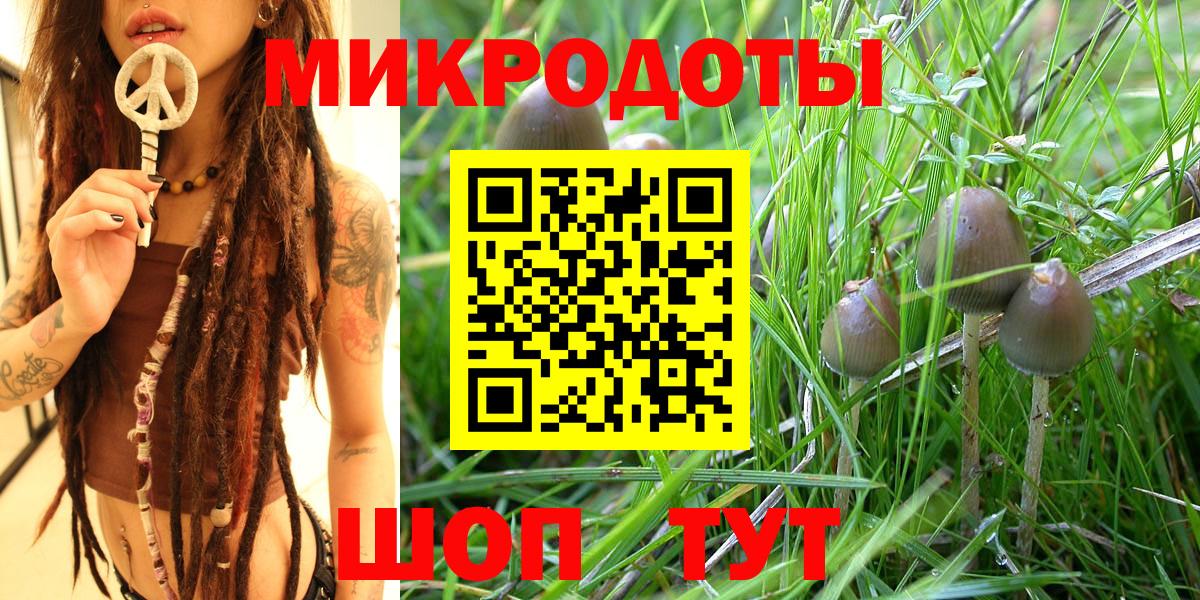 Галлюциногенные грибы мицелий  Вход с VPN  купить наркотики сайты  Кызыл 